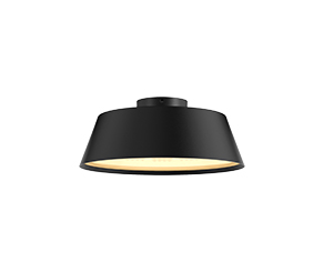 Urban Lights Ceiling Mount