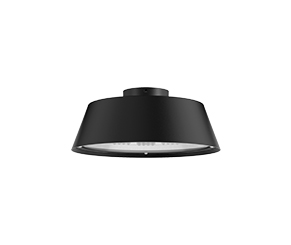 Urban Lights Ceiling Mount