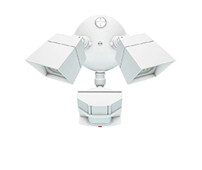 Outdoor Security Light LT-FXF-20W