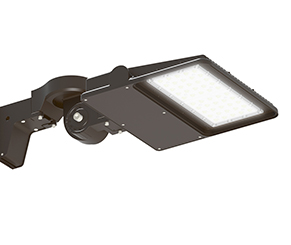 Area/Site Lighting LTOK-100W