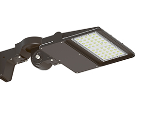 Area/Site Lighting LTOK-100W